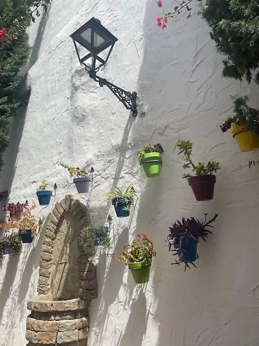 Sunshine Serenity Coast Retreat Estepona Apartment
