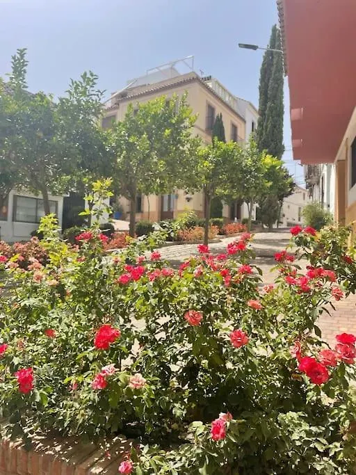 Sunshine Serenity Coast Retreat Estepona 0*,  Spain